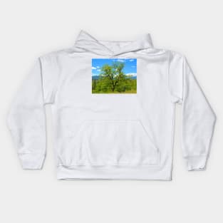 Valley Oak of Northern California Kids Hoodie